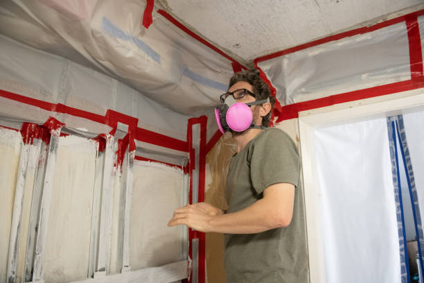 Best Black Mold Removal  in Rogersville, MO